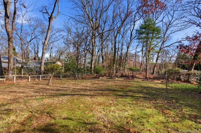a view of a tree in front of a house