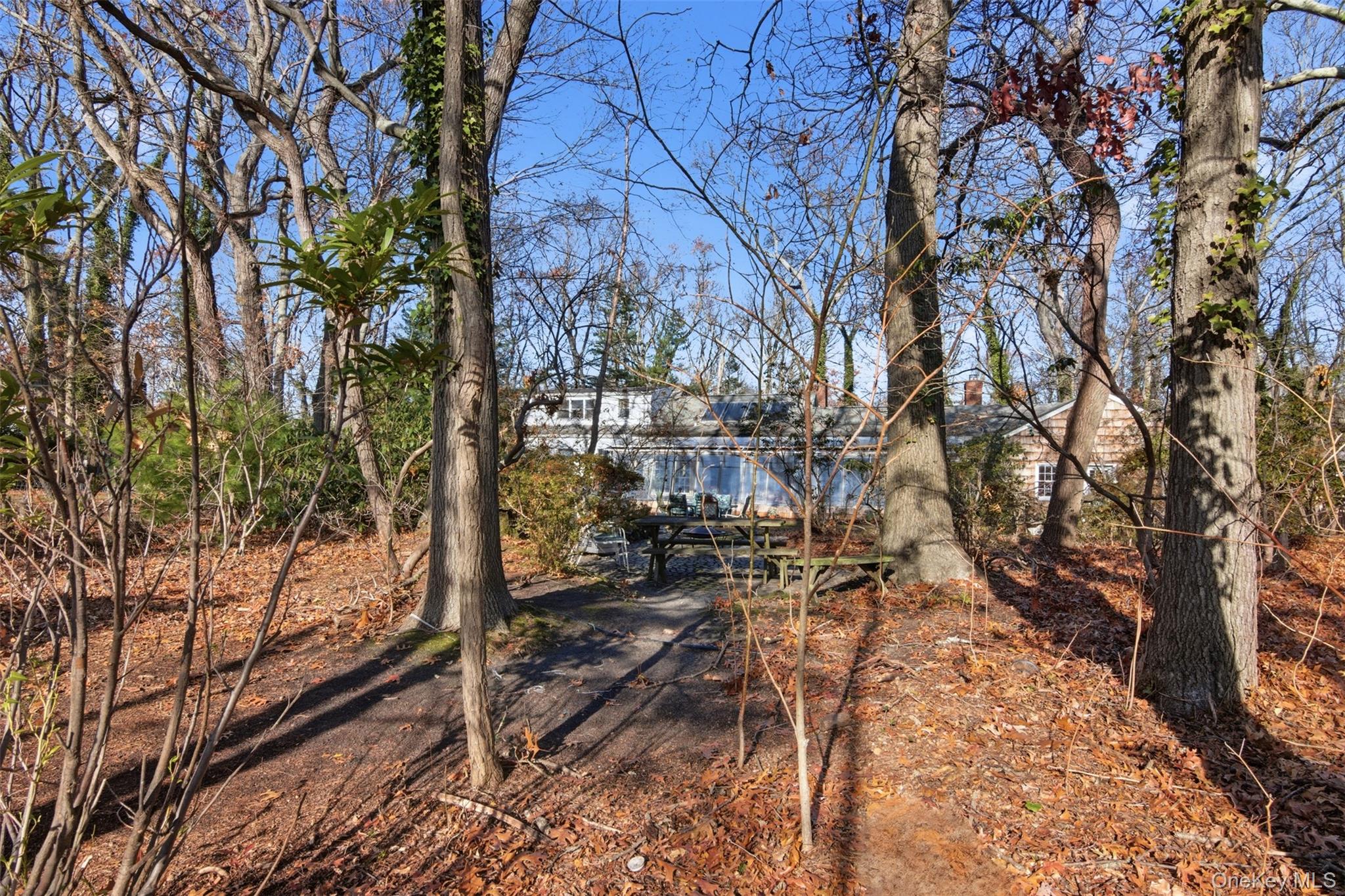 8 Old Wood Road Stony Brook, NY 11790 - Photo 30 of 50 View of yard