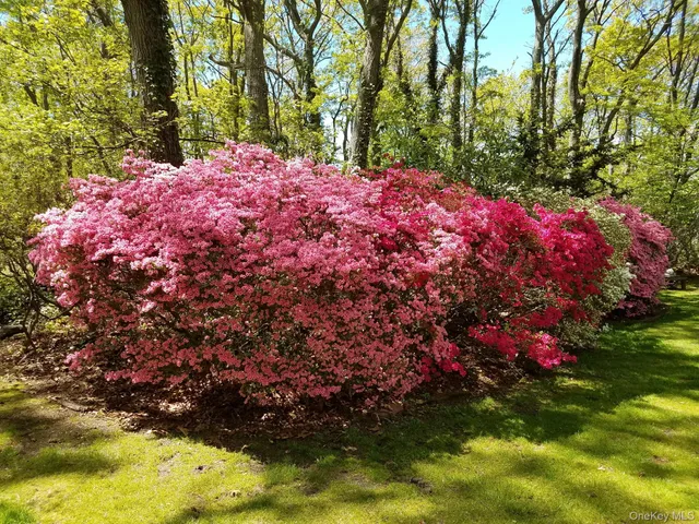 $939,000 | 8 Old Wood Road, Stony Brook, NY 11790