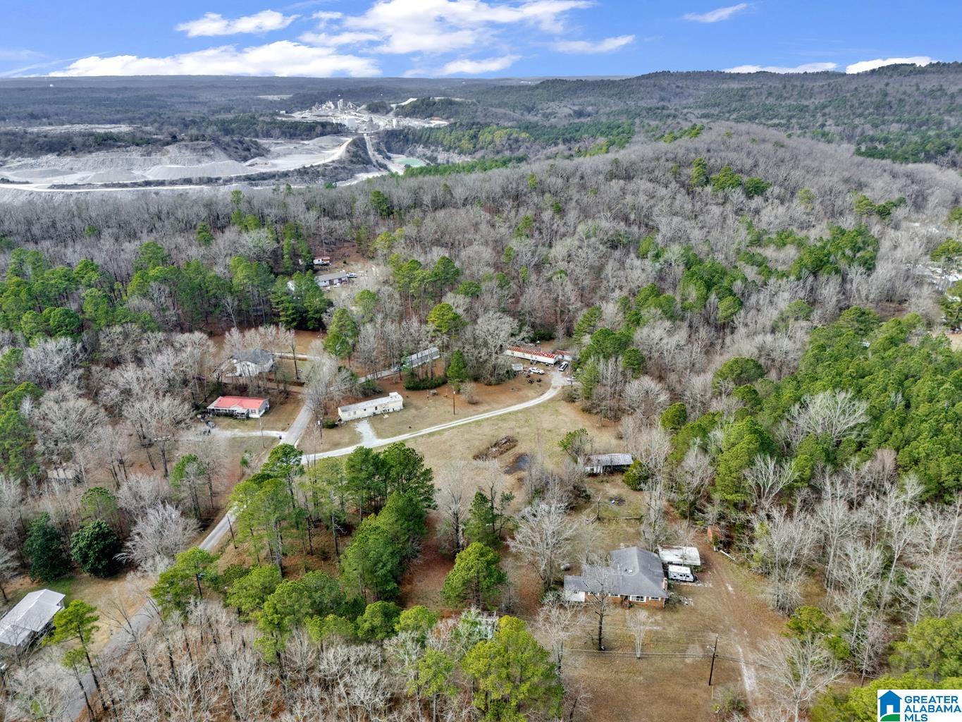 1383 Camp Branch Road, Unit 1 Alabaster, AL 35007 - Photo 7 of 20