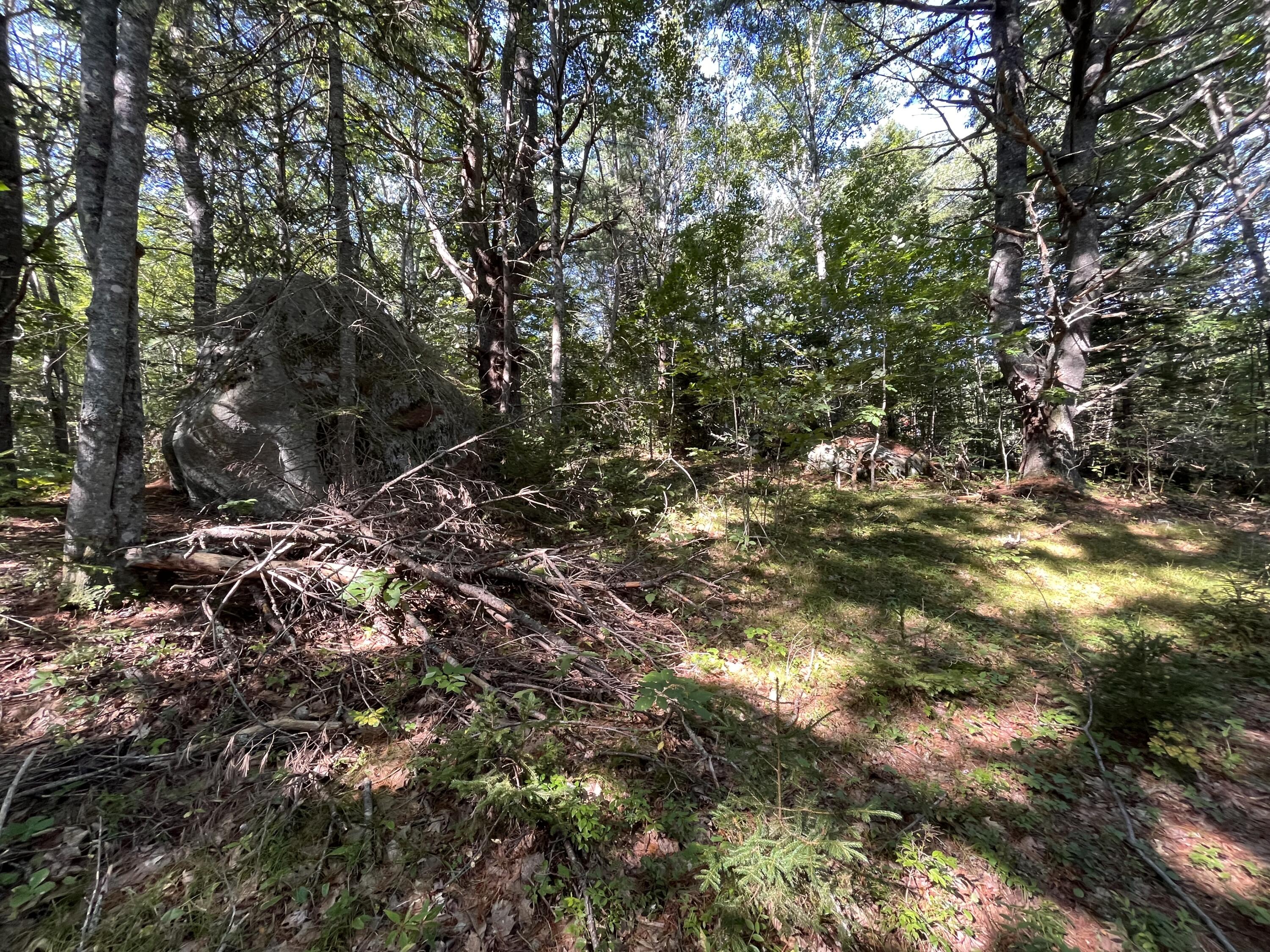 38 East State Route 32 Round Pond, ME 04564 - Photo 11 of 16 IMG_3844