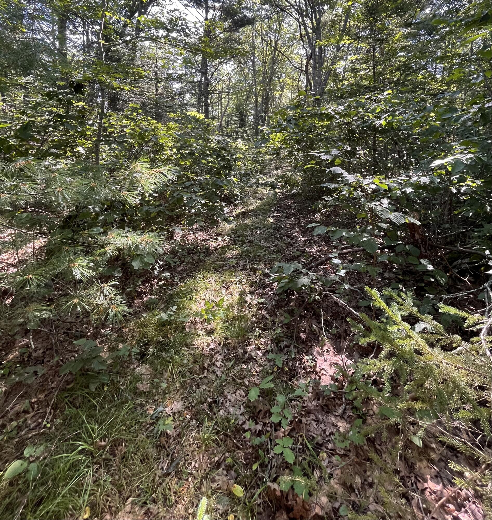 38 East State Route 32 Round Pond, ME 04564 - Photo 12 of 16 IMG_3839