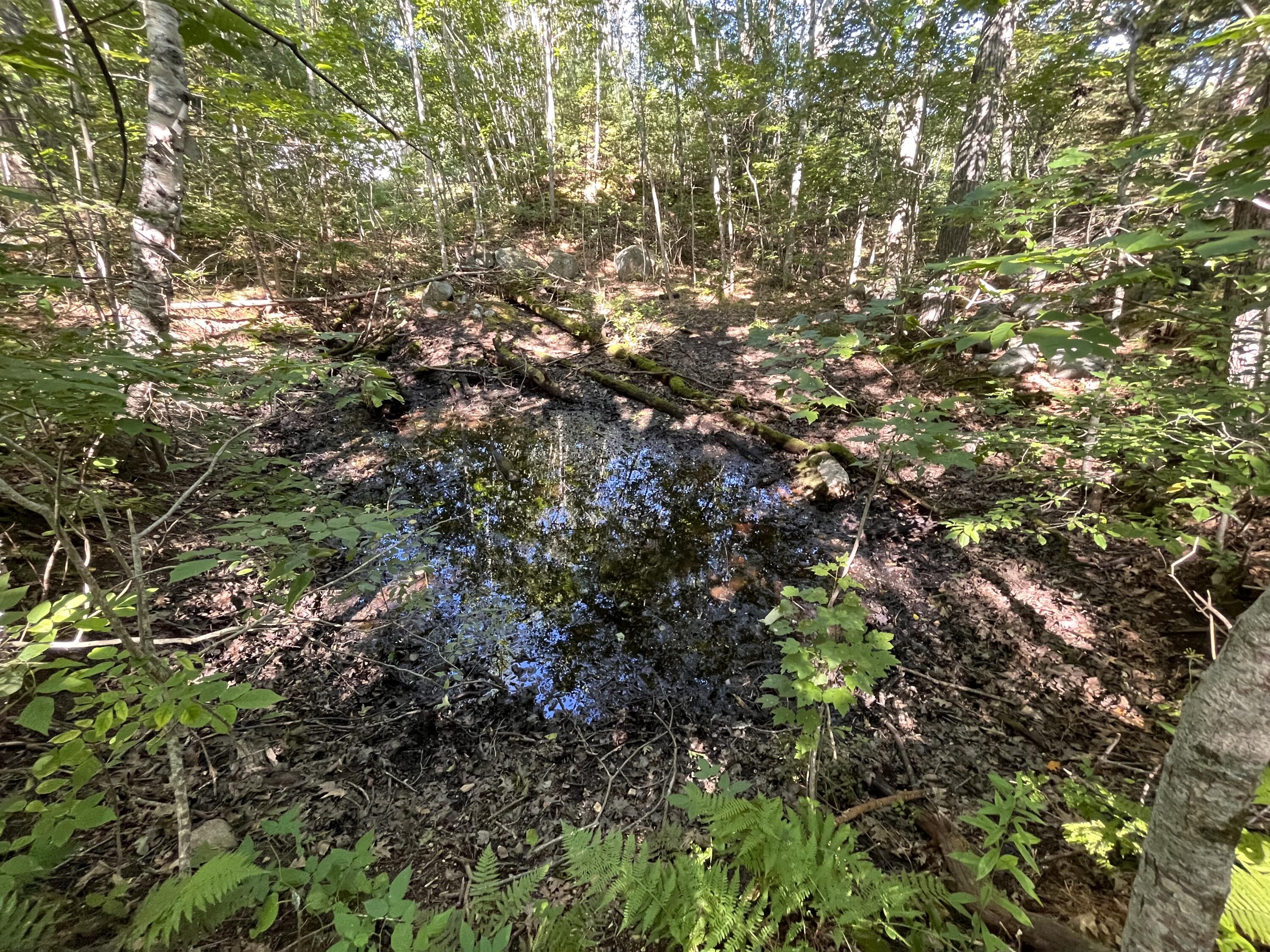 38 East State Route 32 Round Pond, ME 04564 - Photo 13 of 16 IMG_3835
