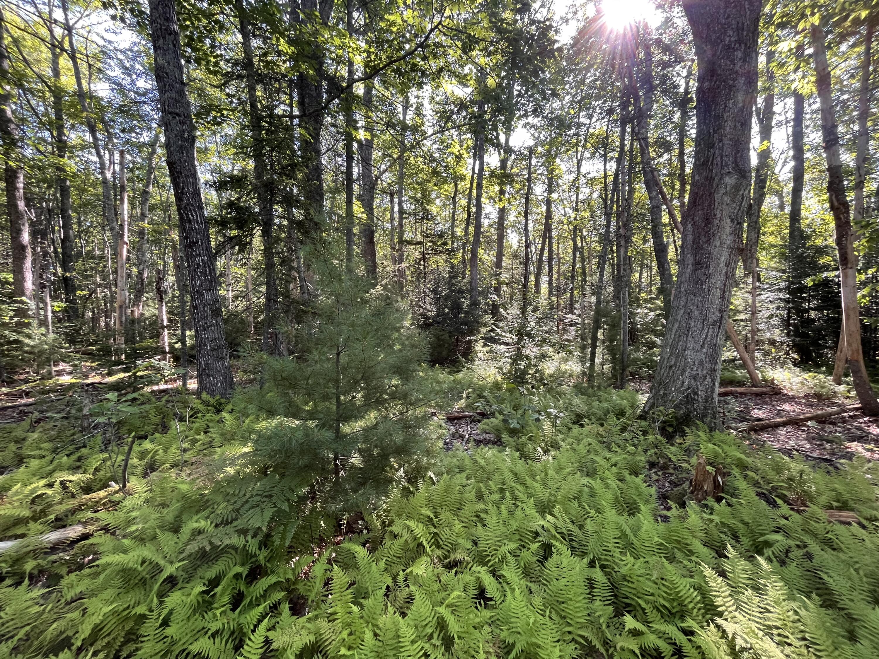 38 East State Route 32 Round Pond, ME 04564 - Photo 14 of 16 IMG_3830