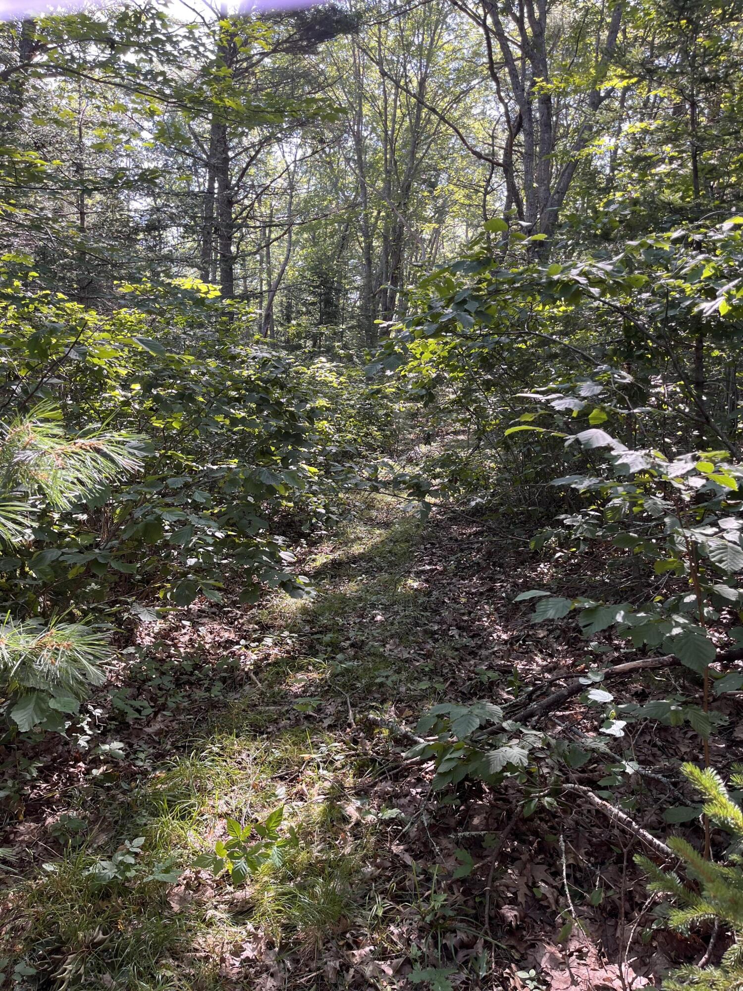 38 East State Route 32 Round Pond, ME 04564 - Photo 16 of 16 IMG_3838