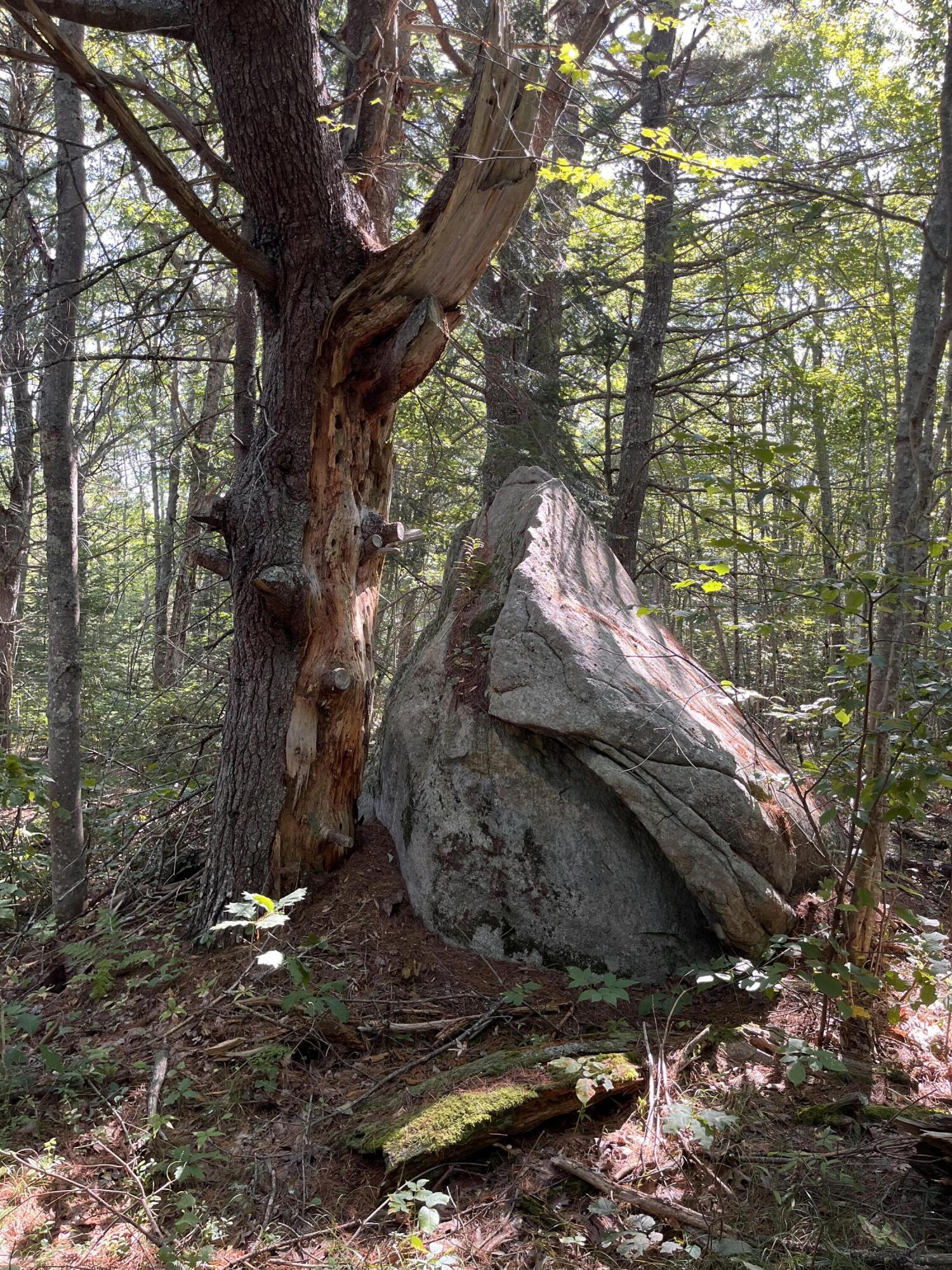 38 East State Route 32 Round Pond, ME 04564 - Photo 5 of 16 IMG_3837