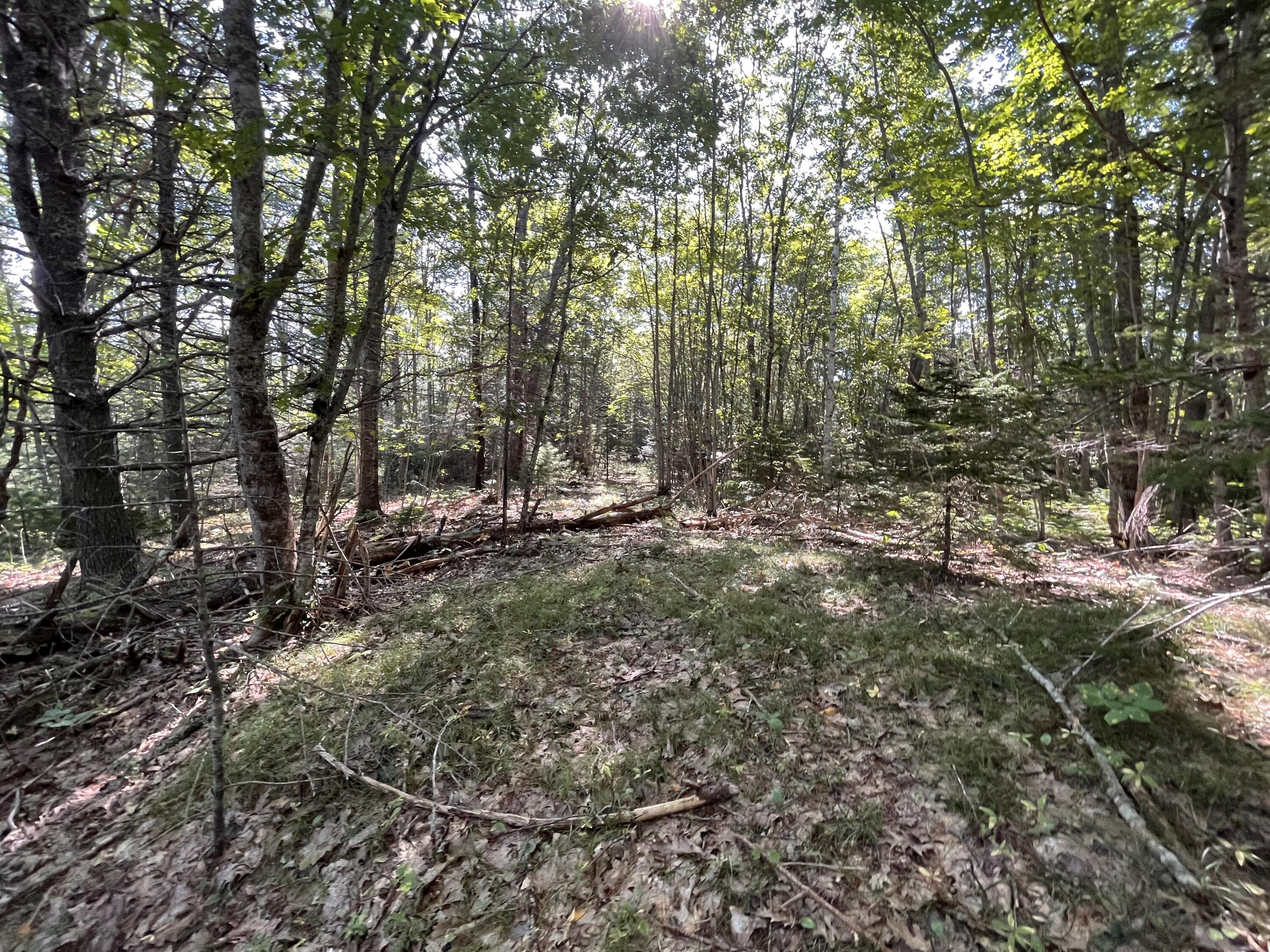 38 East State Route 32 Round Pond, ME 04564 - Photo 6 of 16 IMG_3845