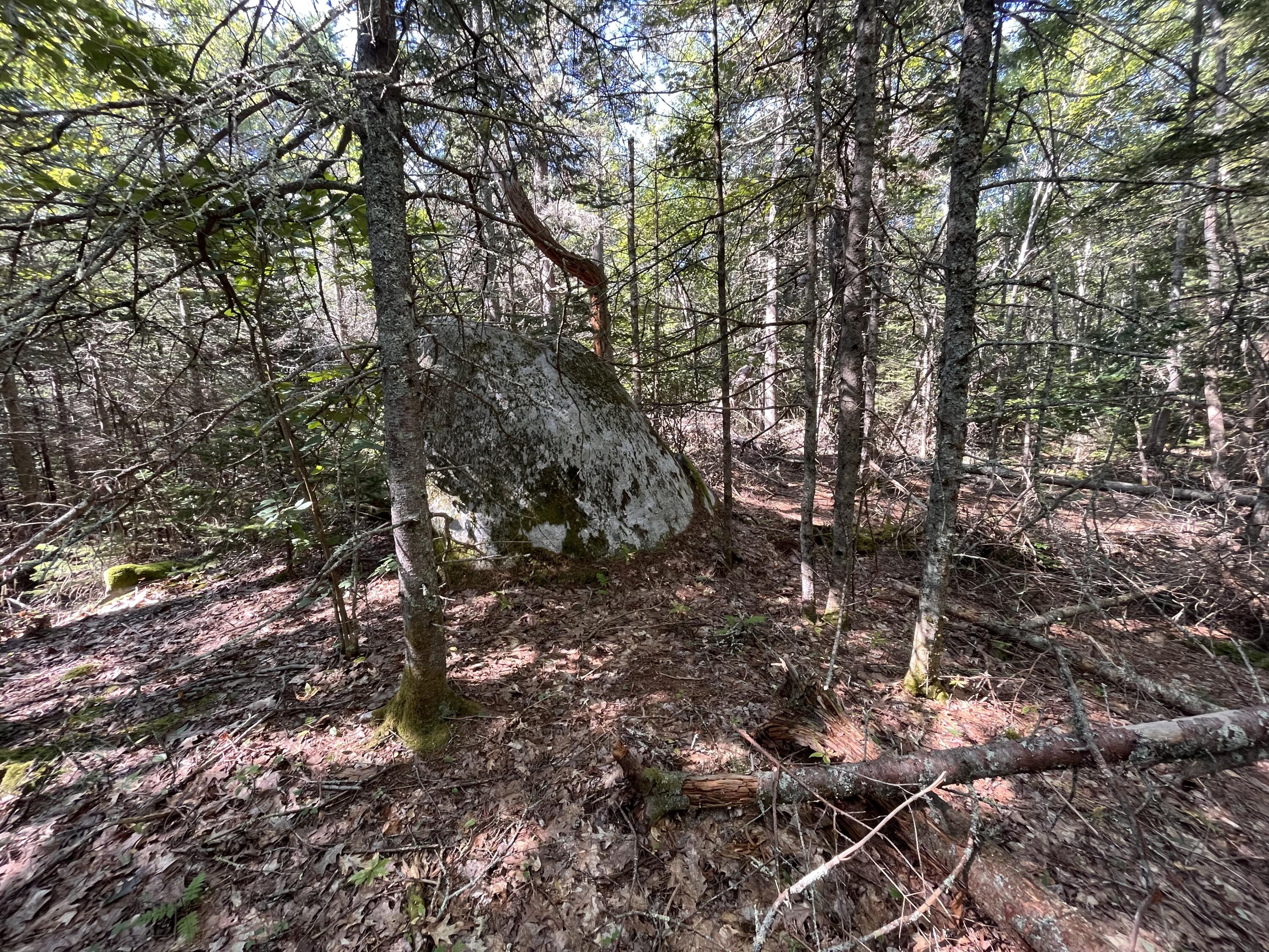 38 East State Route 32 Round Pond, ME 04564 - Photo 7 of 16 IMG_3854