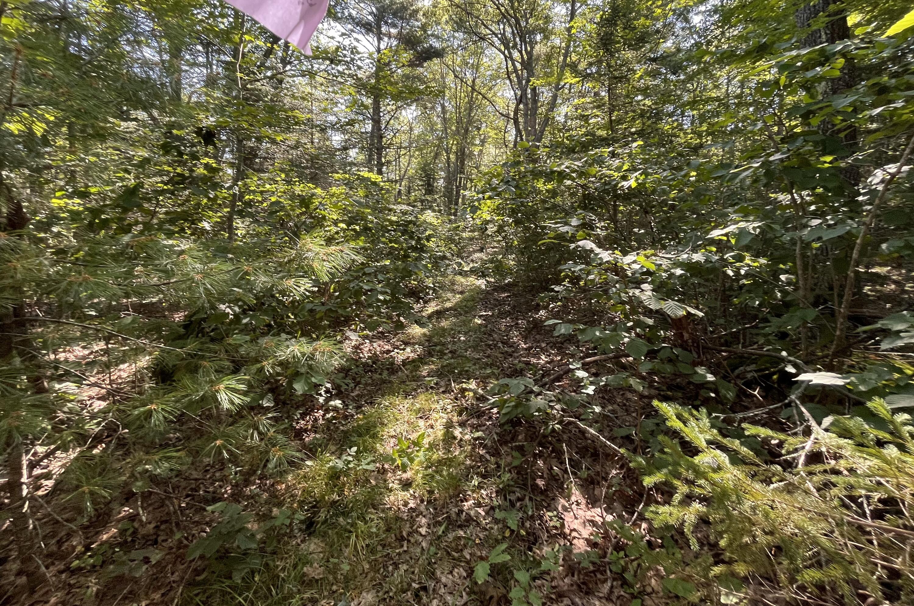 38 East State Route 32 Round Pond, ME 04564 - Photo 8 of 16 IMG_3840