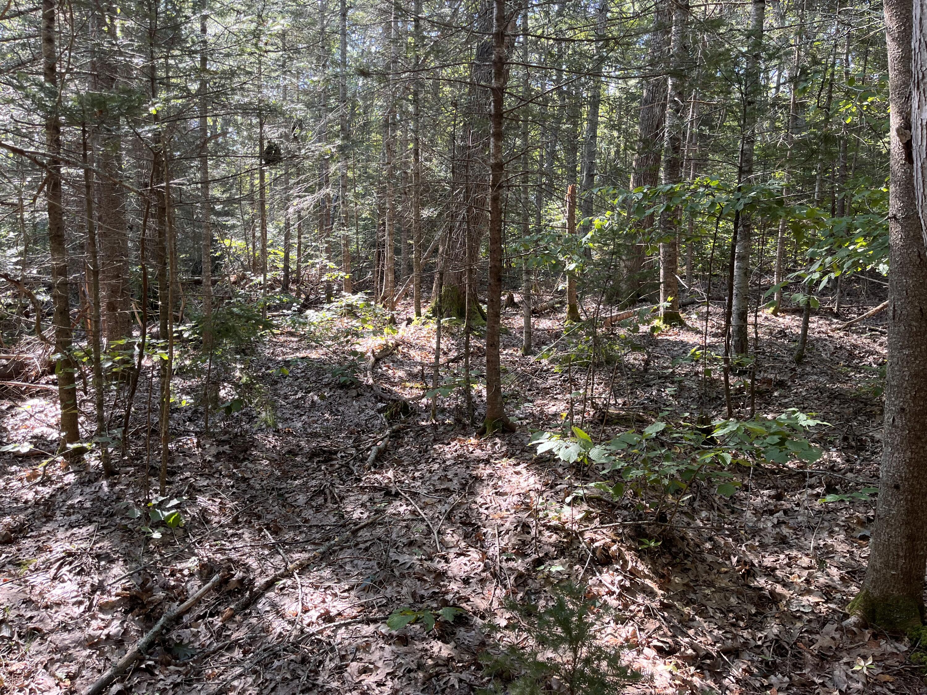 38 East State Route 32 Round Pond, ME 04564 - Photo 9 of 16 IMG_3843