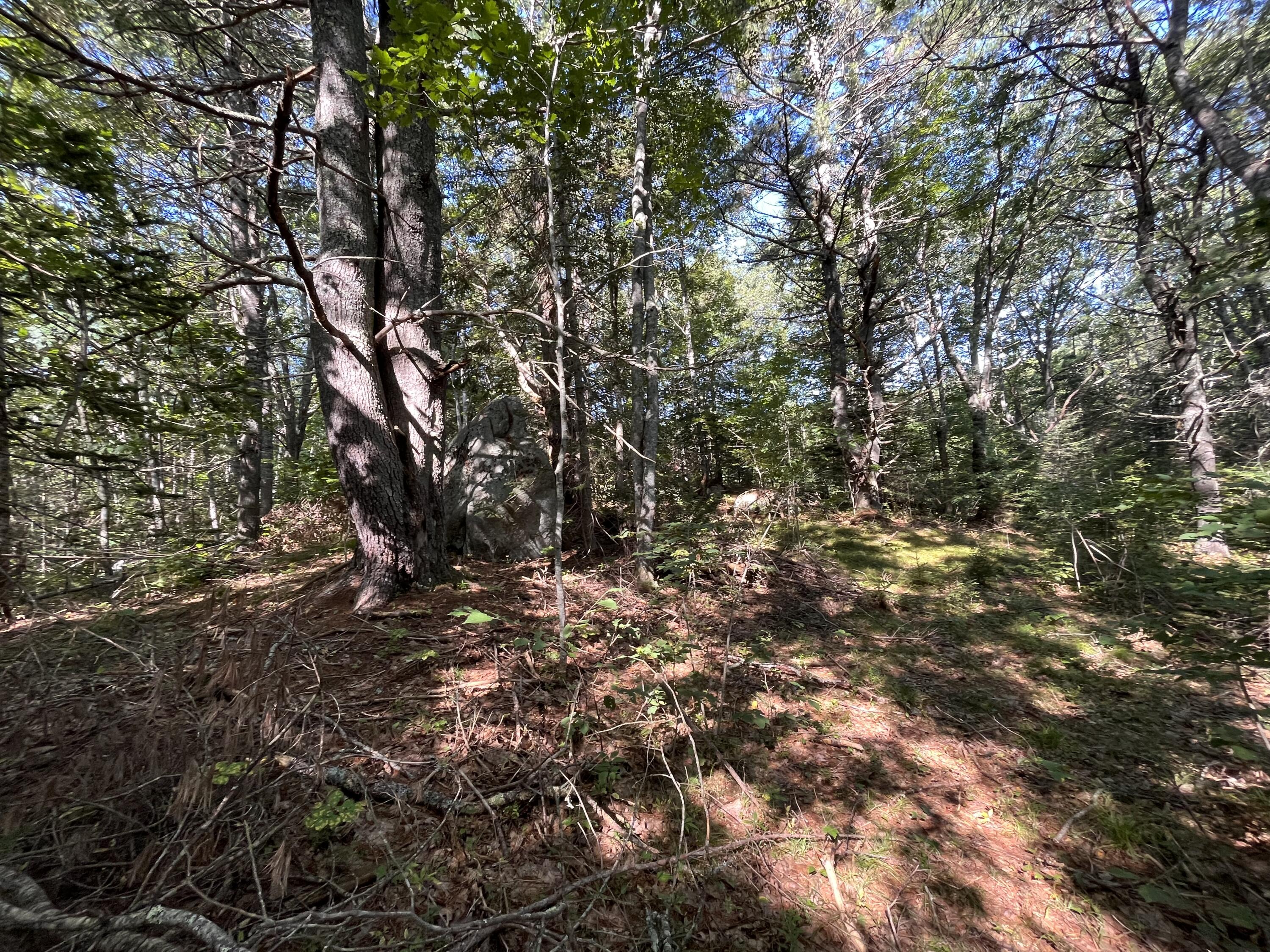 38 East State Route 32 Round Pond, ME 04564 - Photo 10 of 16 IMG_3847