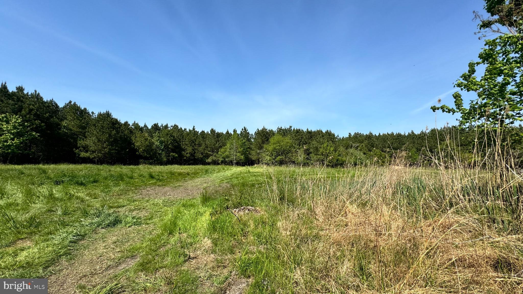 Dover Bridge Road Preston, MD 21655 - Photo 11 of 22 a view of lake with green space