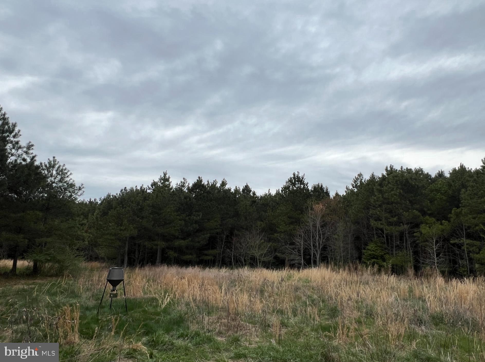 Dover Bridge Road Preston, MD 21655 - Photo 18 of 22 a view of a yard