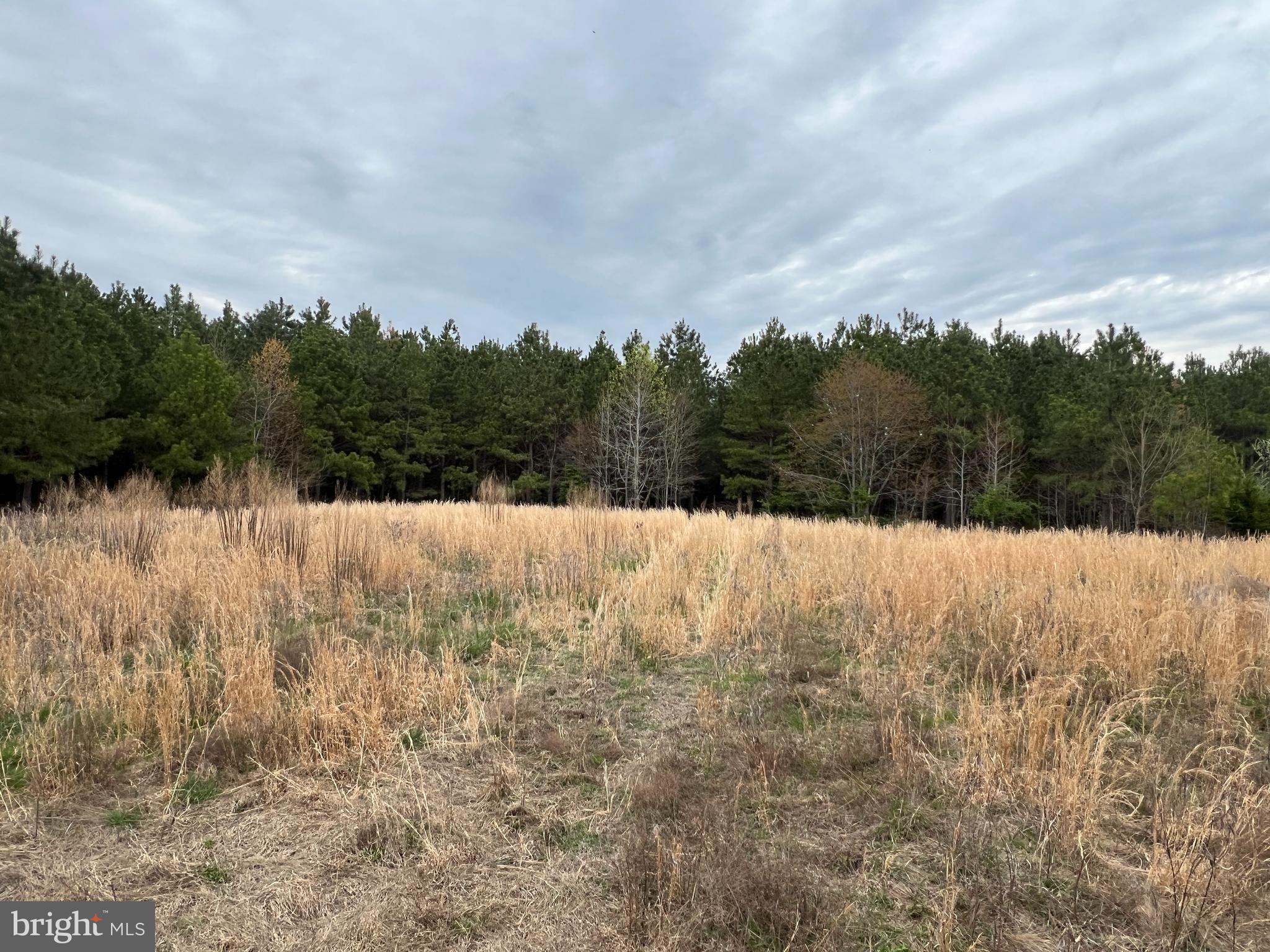 Dover Bridge Road Preston, MD 21655 - Photo 19 of 22 a view of mountain with yard