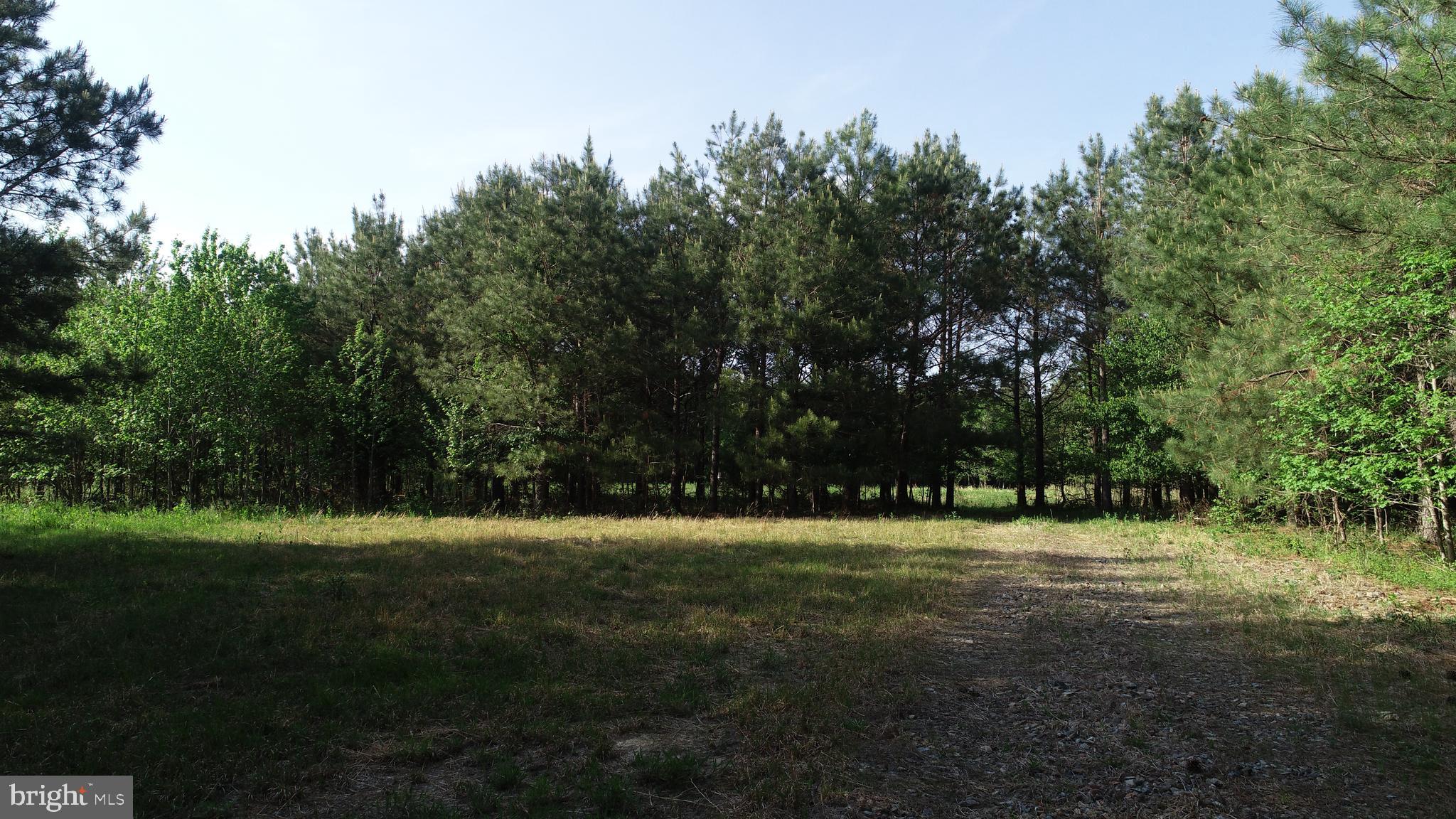 Dover Bridge Road Preston, MD 21655 - Photo 20 of 22 a view of outdoor space with green field and trees all around