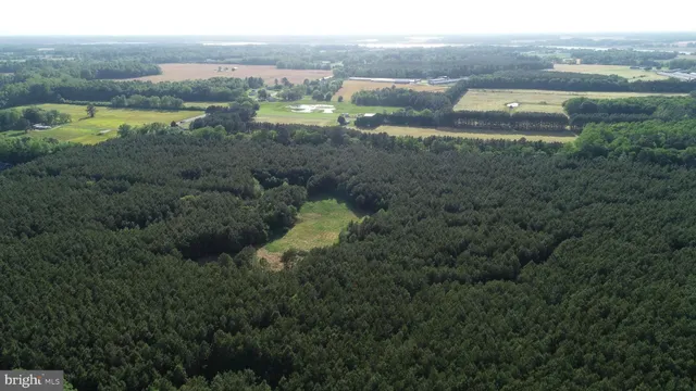 a view of a lake with houses in the back