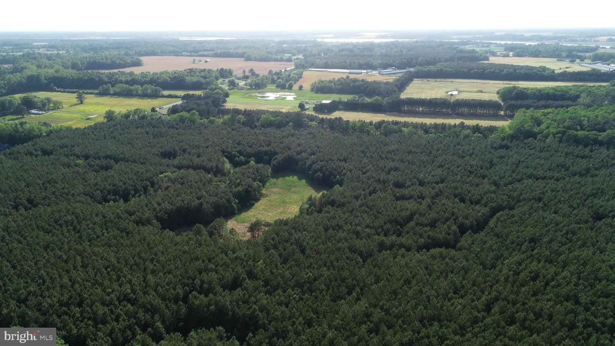 Dover Bridge Road Preston, MD 21655 - Photo 3 of 22 a view of a lake with houses in the back