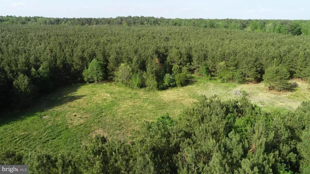 a view of a lush green forest with trees and some houses