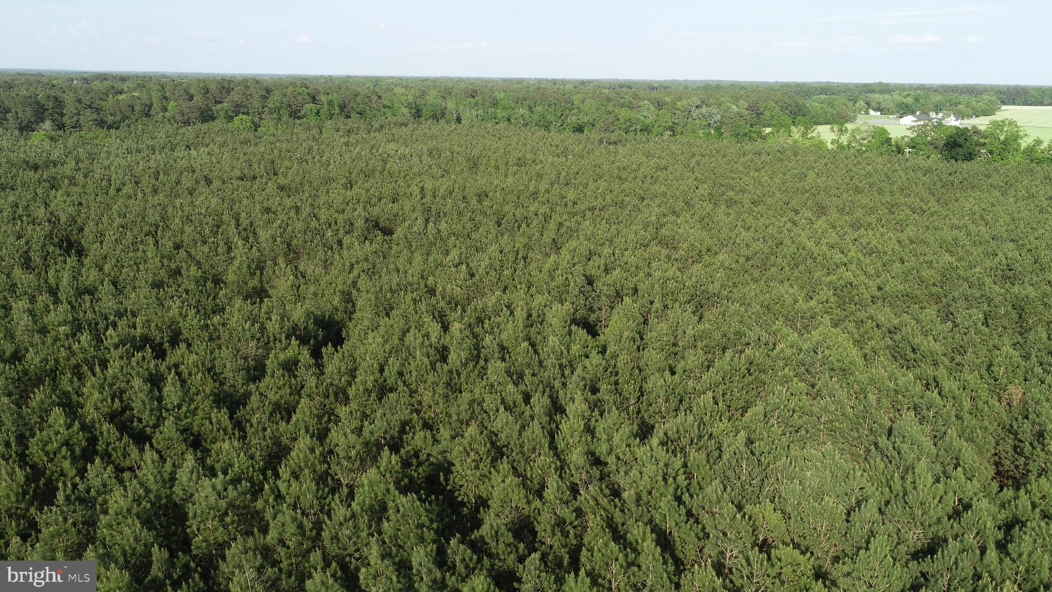 Dover Bridge Road Preston, MD 21655 - Photo 6 of 22 a view of a city