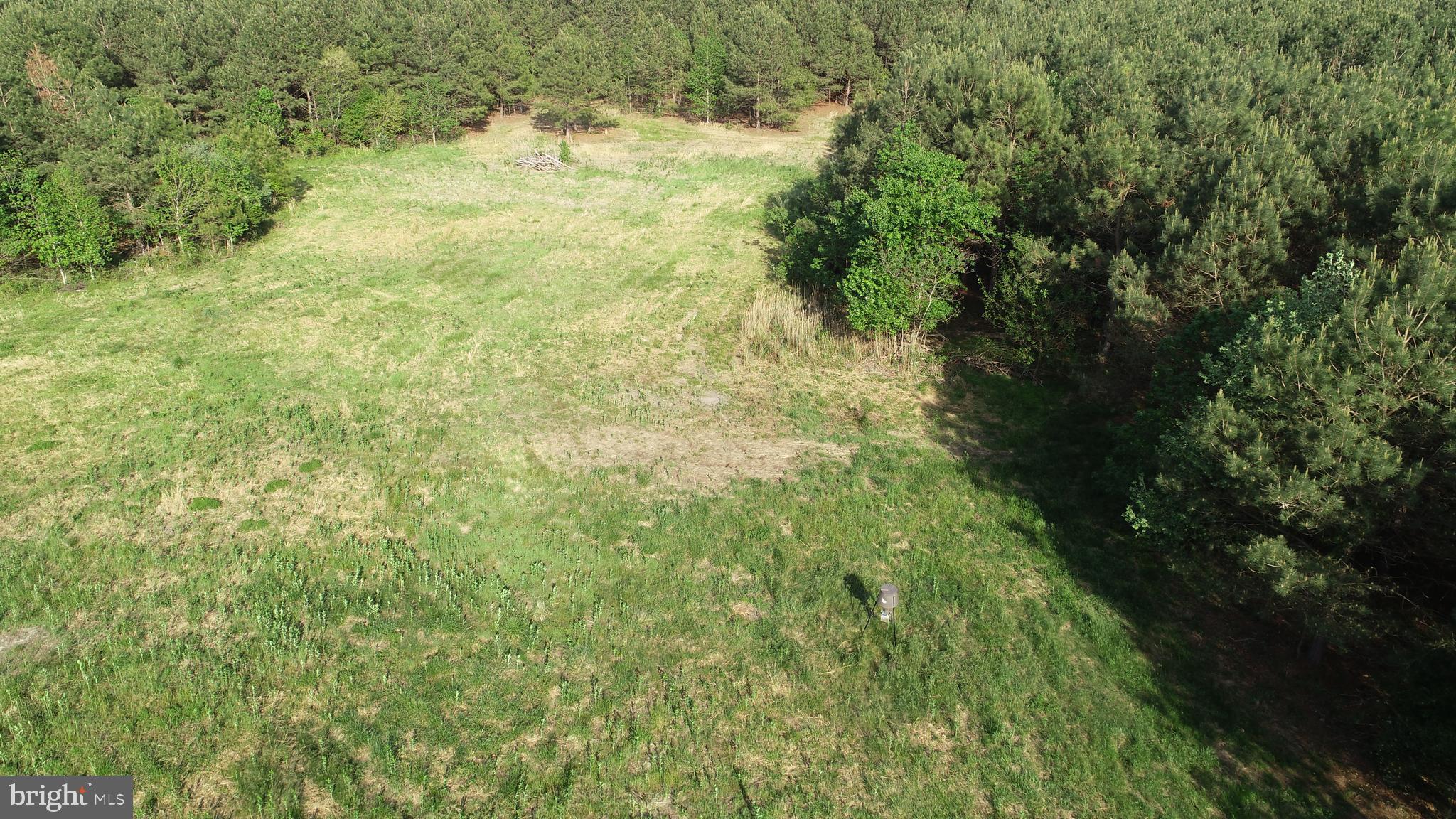 Dover Bridge Road Preston, MD 21655 - Photo 7 of 22 a view of a yard