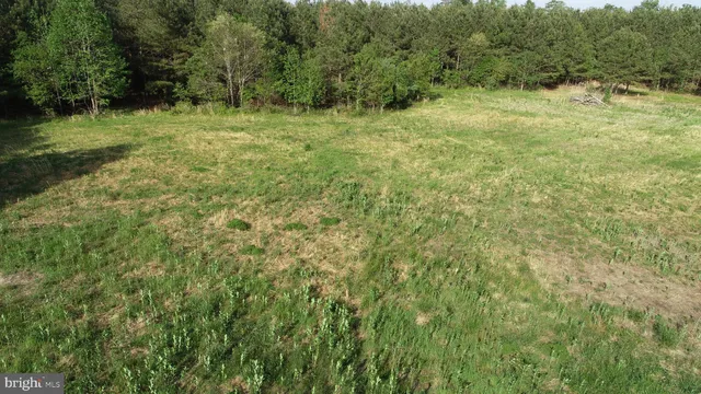 a view of outdoor space with trees all around