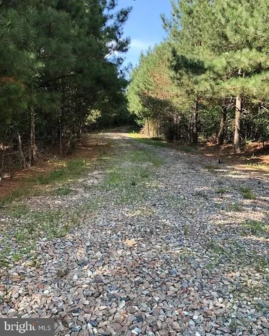a view of a field with trees in the background