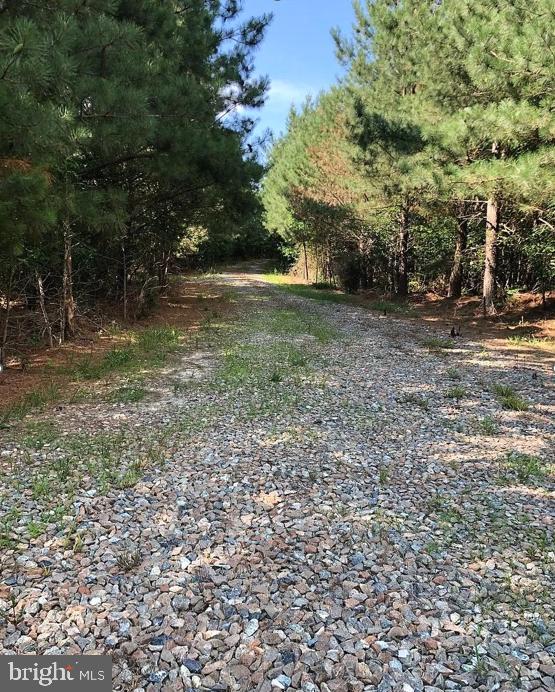 Dover Bridge Road Preston, MD 21655 - Photo 9 of 22 a view of a field with trees in the background