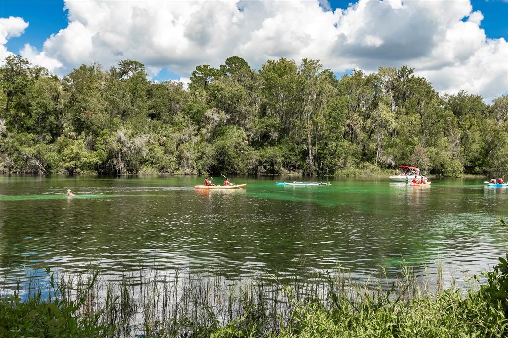 9726 Southwest 192nd Court Road Dunnellon, FL 34432 - Photo 68 of 82