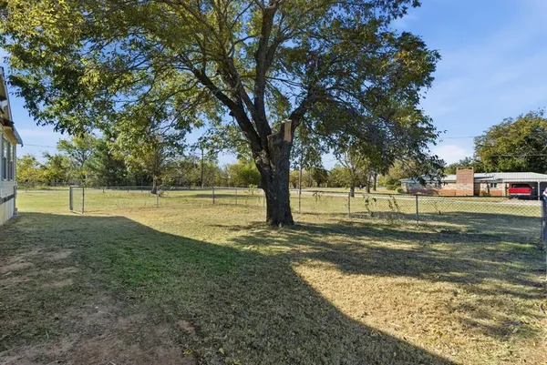 a view of backyard with tree