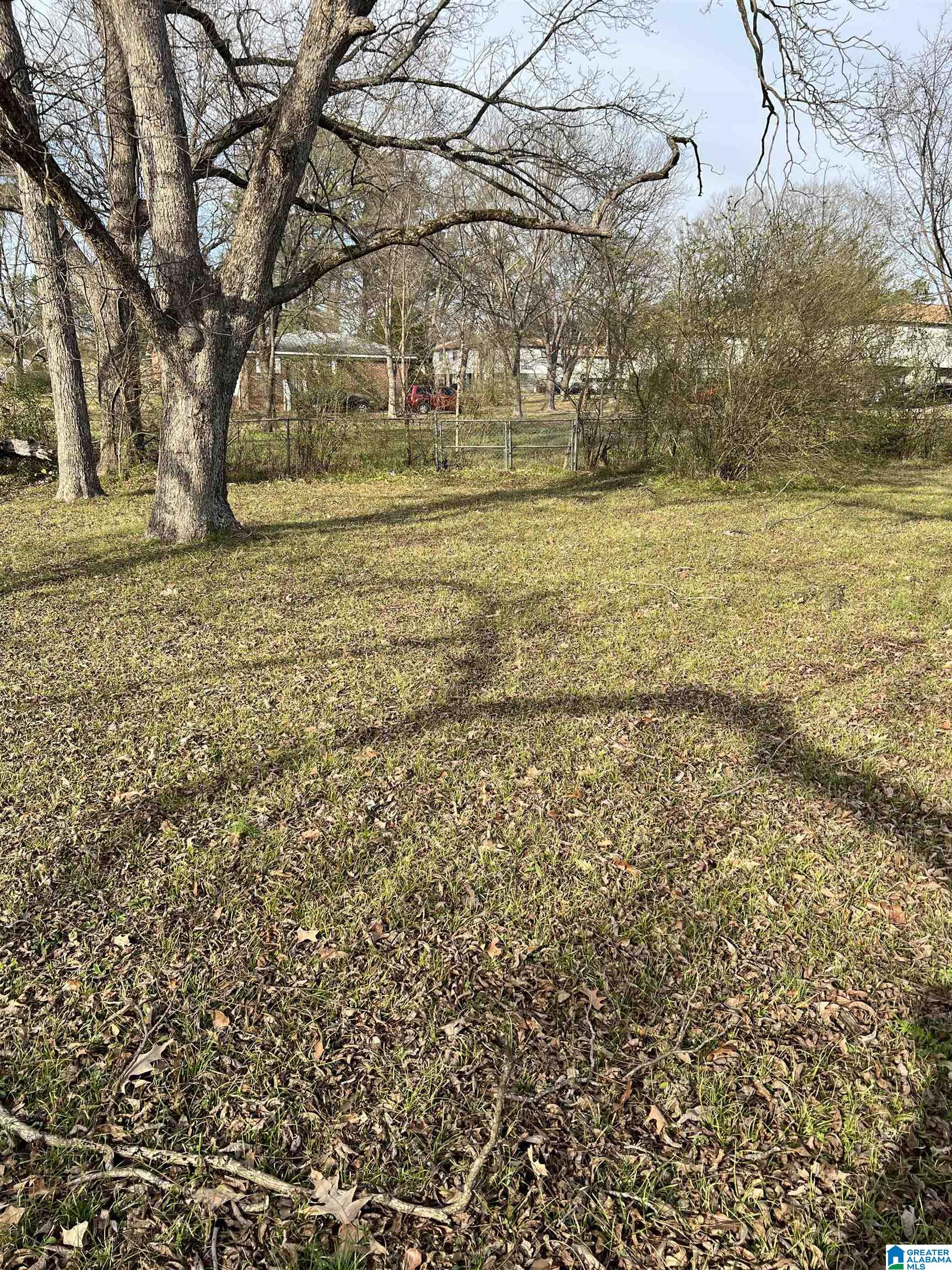 483 Flint Hill Road Bessemer, AL 35022 - Photo 4 of 18
