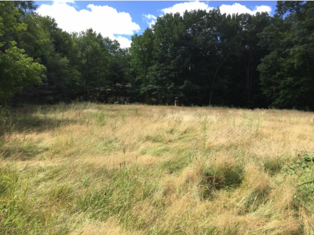 129 Farmer Road Hooksett, NH 03106 - Photo 2 of 2