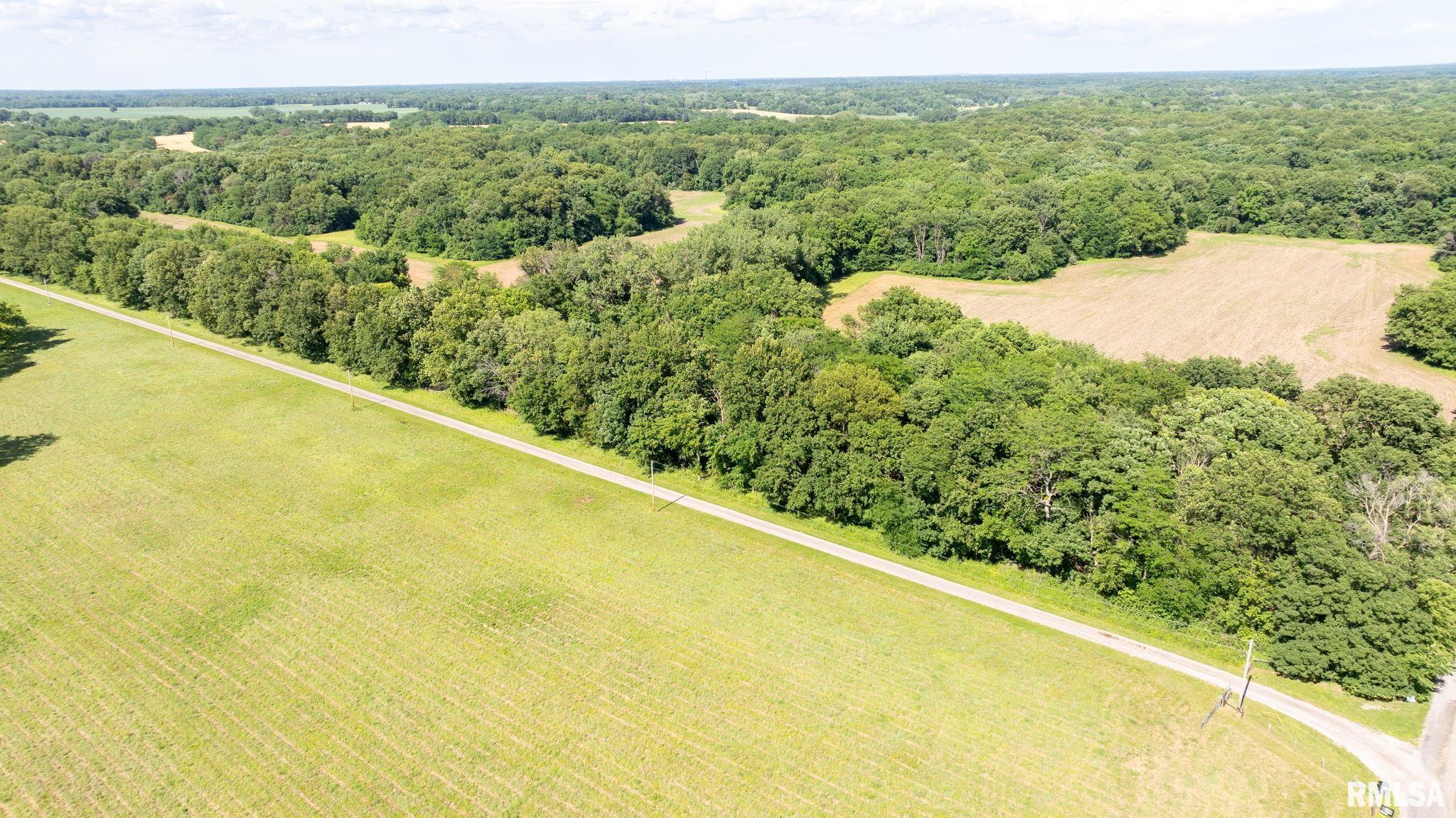 8543 Frey Road Pleasant Plains, IL 62677 - Photo 7 of 23