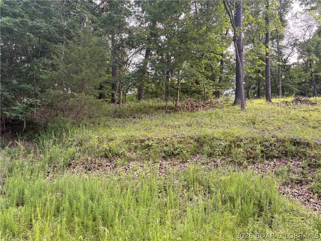 Tbd Silver Moon Resort Road Gravois Mills, MO 65037 - Photo 13 of 22