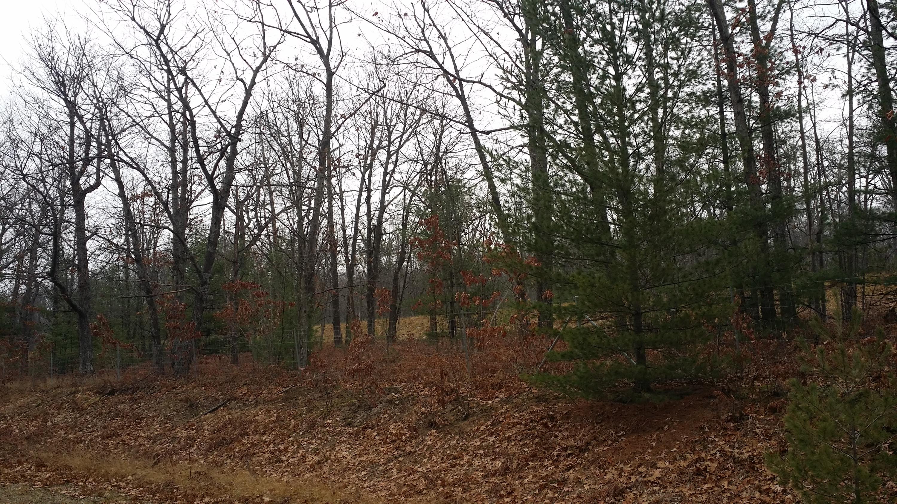 Service Road Indian River, MI 49749 - Photo 4 of 13 Gallery Image 4