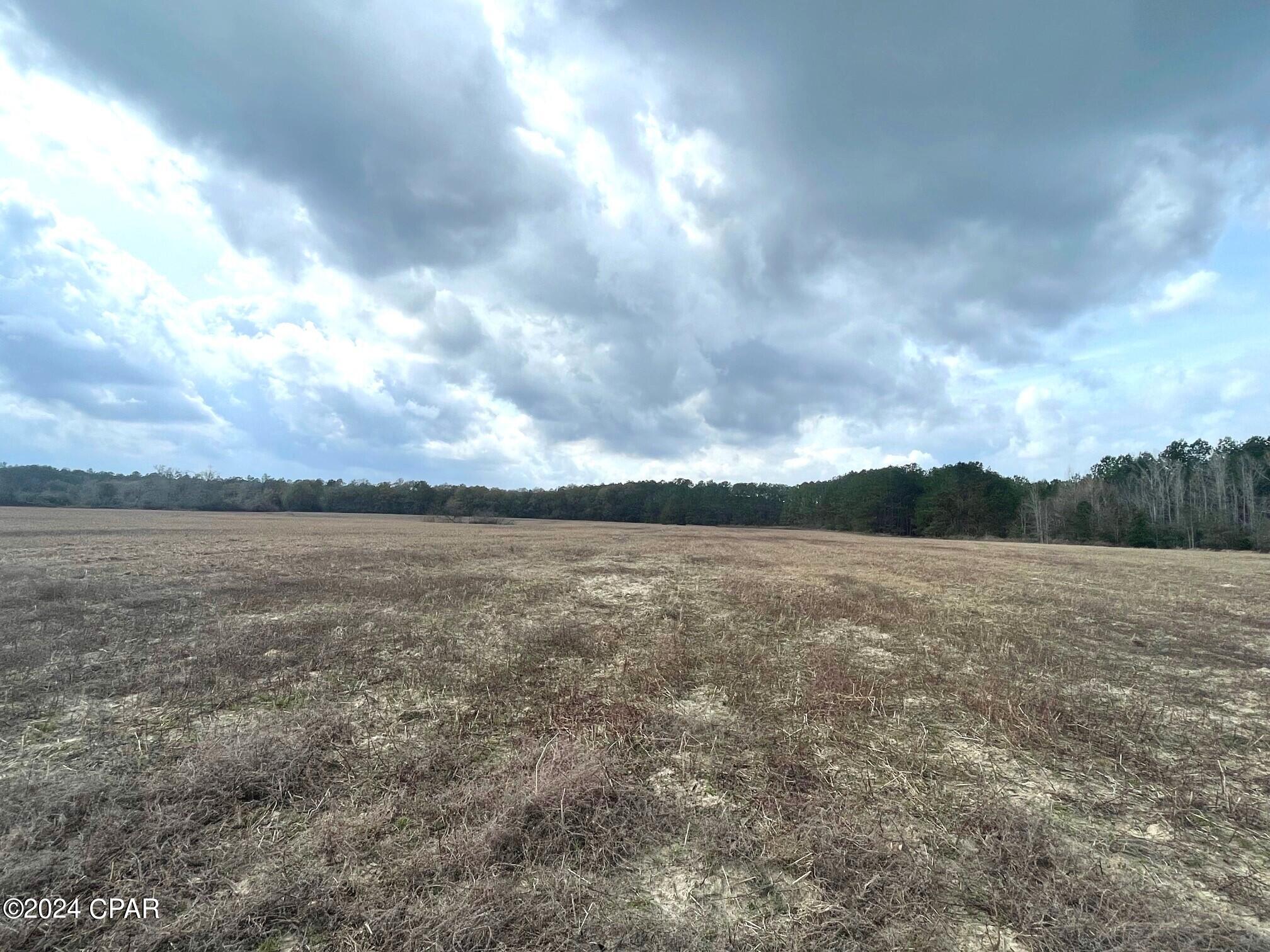 335-acres R M Ward Road Ponce de Leon, FL 32455 - Photo 28 of 37 Gallery Image 28
