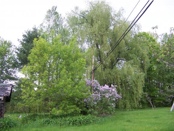 12 Bourne Road Cambridge, VT 05464 - Photo 14 of 14 Gallery Image 14