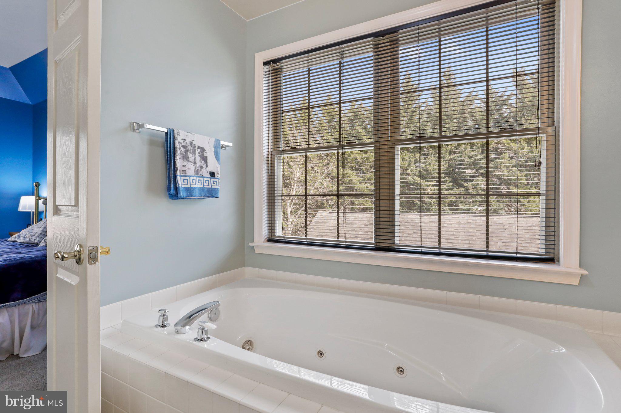 2219 Lamp Post Lane Frederick, MD 21701 - Photo 30 of 60 Master Bathroom