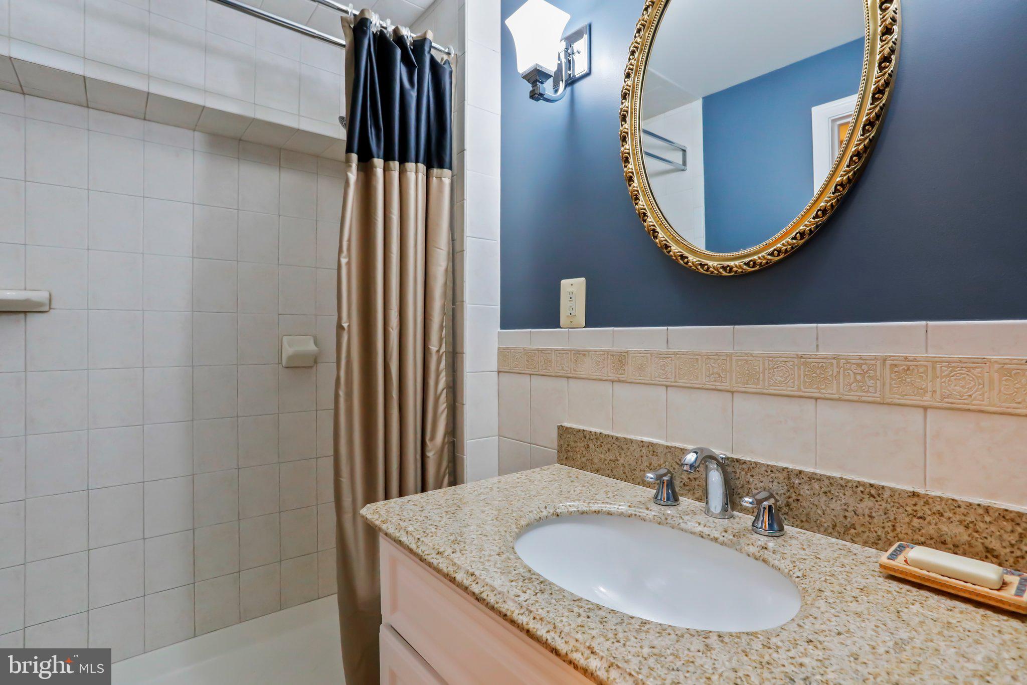 2219 Lamp Post Lane Frederick, MD 21701 - Photo 49 of 60 Basement Full Bathroom