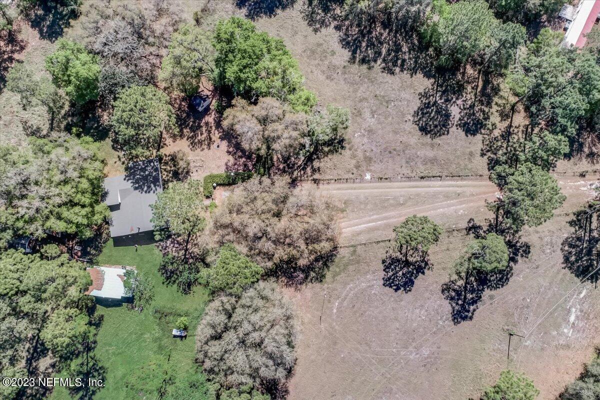 86290 Weldon Road Yulee, FL 32097 - Photo 3 of 46 a view of a yard with plants and large trees