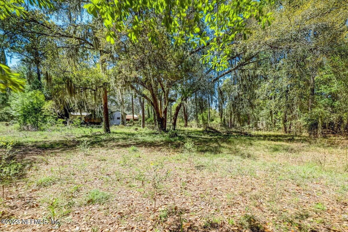 86290 Weldon Road Yulee, FL 32097 - Photo 33 of 46 a view of a tree in the middle of a yard