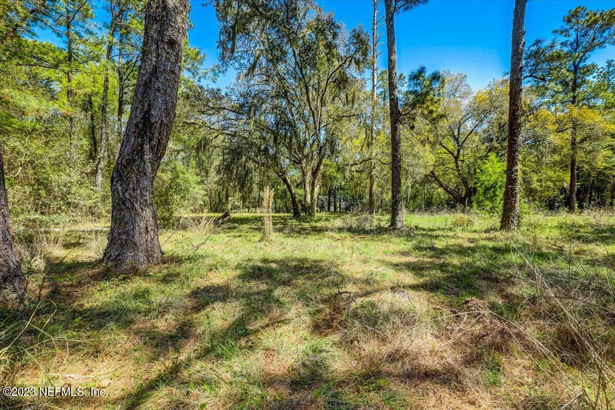 86290 Weldon Road Yulee, FL 32097 - Photo 37 of 46 a backyard of a house with lots of green space