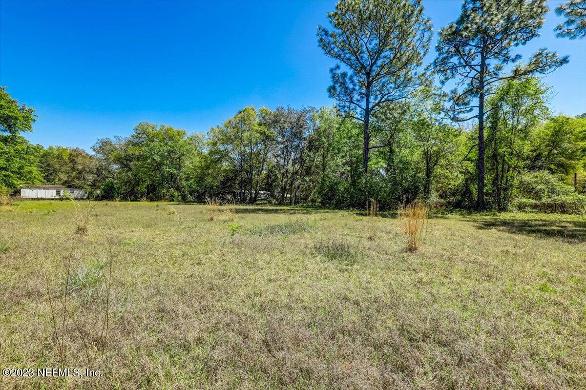 86290 Weldon Road Yulee, FL 32097 - Photo 44 of 46 a backyard of a house with lots of green space