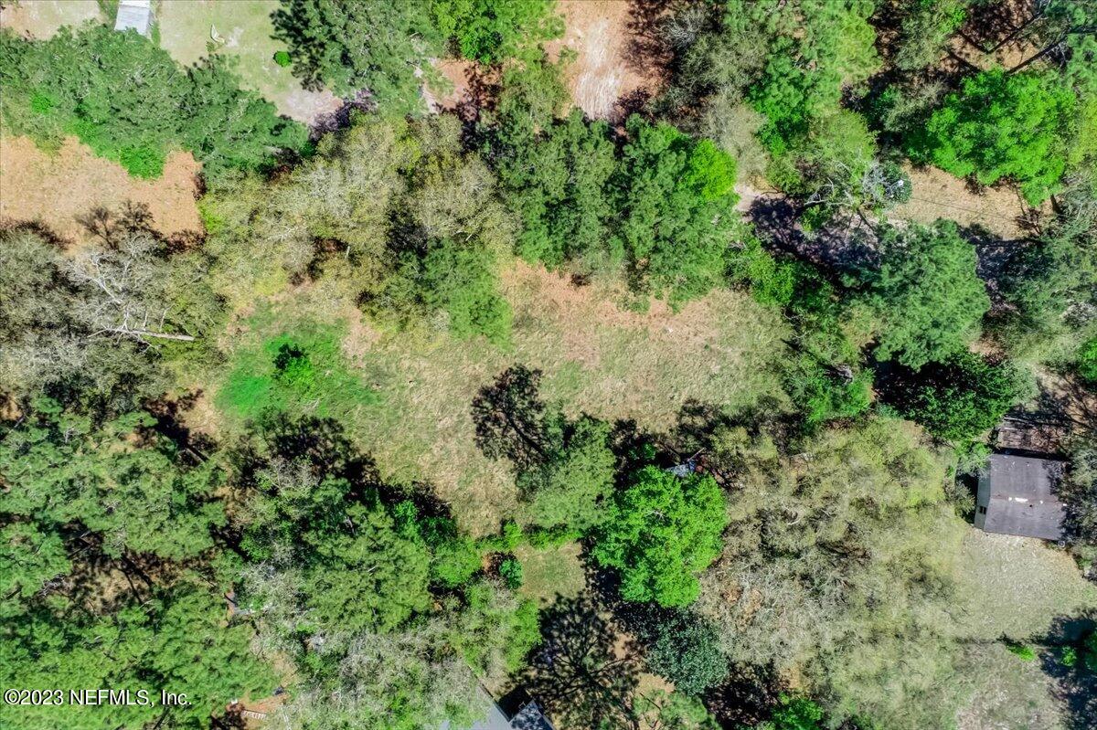 86290 Weldon Road Yulee, FL 32097 - Photo 46 of 46 a view of a garden with a tree