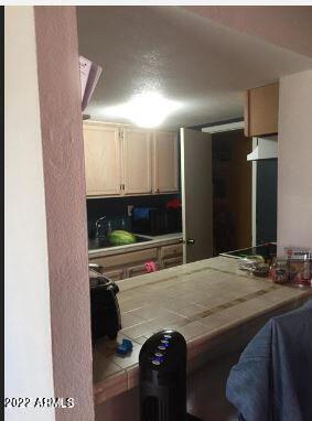 4710 East Broadway Road Phoenix, AZ 85040 - Photo 9 of 21 Kitchen