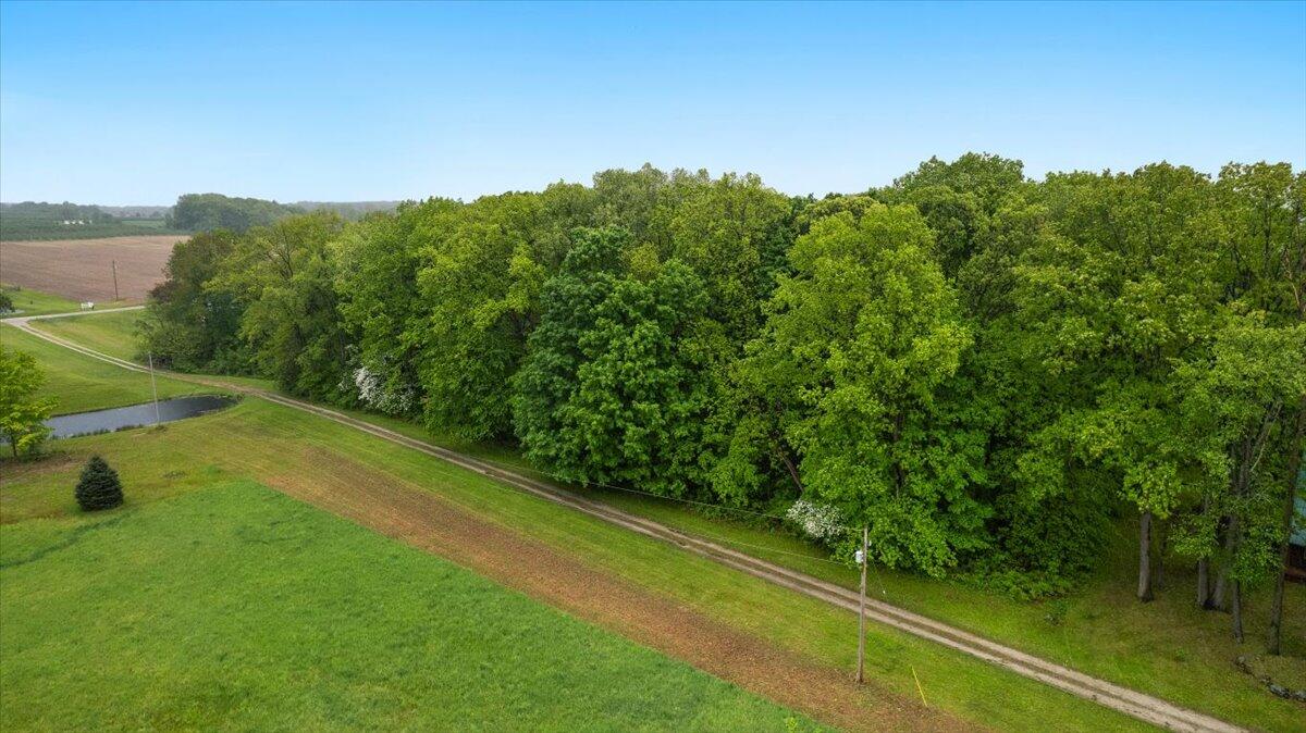 65 North Brown Road Bailey, MI 49303 - Photo 42 of 49 42-Farmer-Tony Nanna-65 N Brown Rd-20250