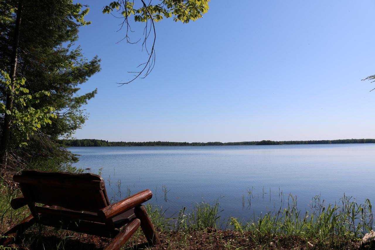 4660 Camp Nokomis Road Mercer, WI 54547 - Photo 6 of 65 Gallery Image 6
