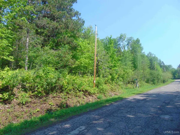 $27,000 | Tbd 1 Alston Avenue, Pelkie, MI 49958