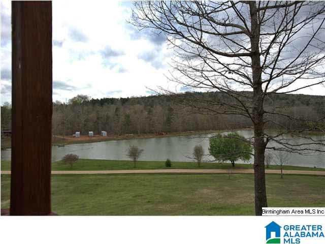 258 Mill Ridge Lane Pell City, AL 35128 - Photo 30 of 31