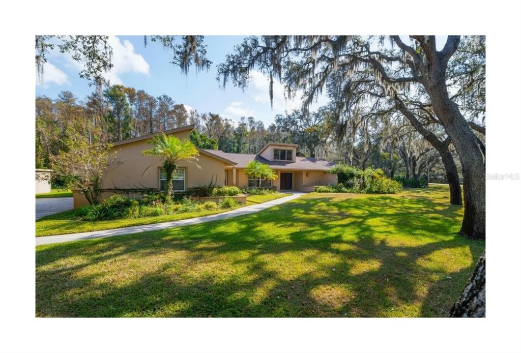 10206 Lakeview Drive New Port Richey, FL 34654 - Photo 2 of 50