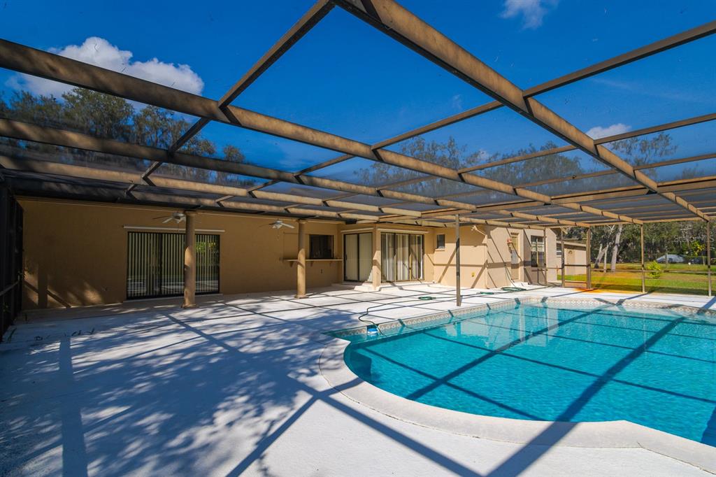 10206 Lakeview Drive New Port Richey, FL 34654 - Photo 40 of 50